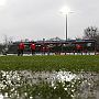 30.1.2016  SC Preussen Muenster - FC Rot-Weiss Erfurt  2-0_02